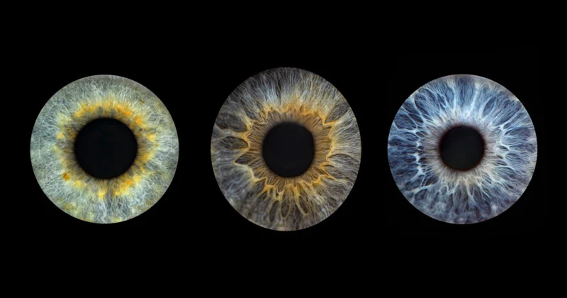 This Woman’s Entire Business is Based on Close-Up Photos of Eyes